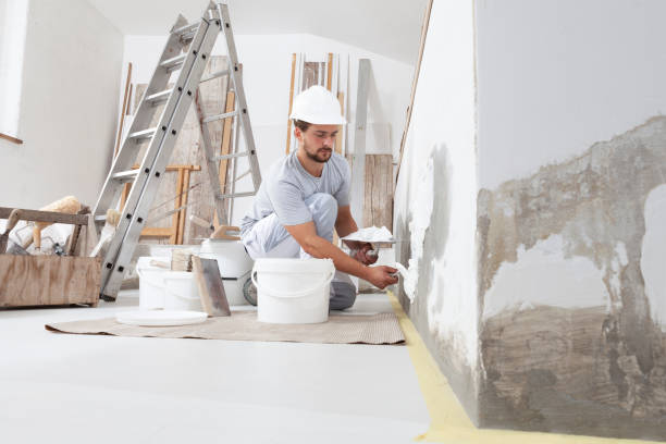 Best Mold-Related Health Consultation  in Van Meter, IA