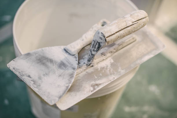 Best Biohazard Mold Removal  in Van Meter, IA